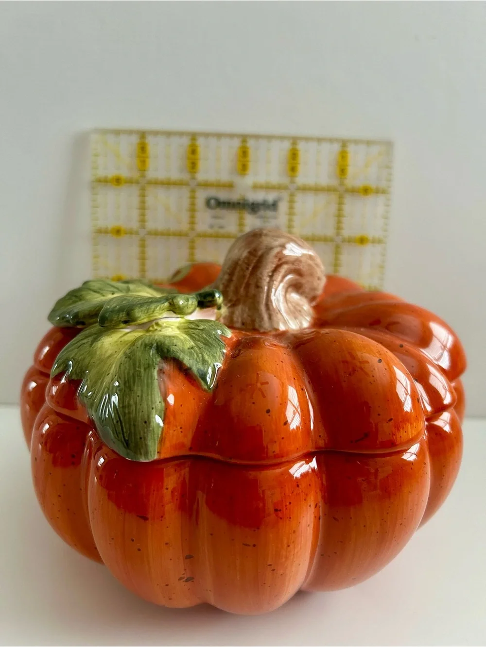 2 Glossy Ceramic Pumpkin Soup Bowl with Green Leaf Accent